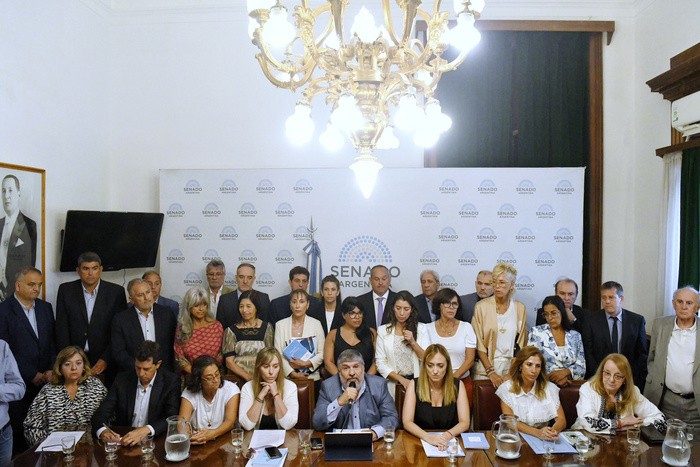 Los senadores de Unión por la Patria desafían al FMI y rechazan el DNU de Milei: 