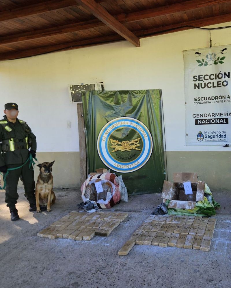 Golpe al narcotráfico: caen con más de 112 kilos de marihuana que enviaban como encomiendas desde Misiones