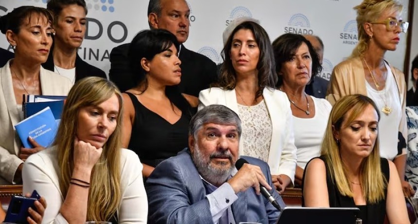 FUERTE RECLAMO EN EL CONGRESO: diputados y senadores redoblaron la defensa de Cristina Kirchner y cuestionaron su detenci&oacute;n domiciliaria