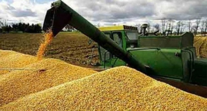 Golpe al fisco y apuesta desesperada por dólares: el Gobierno baja retenciones y enciende la alarma económica